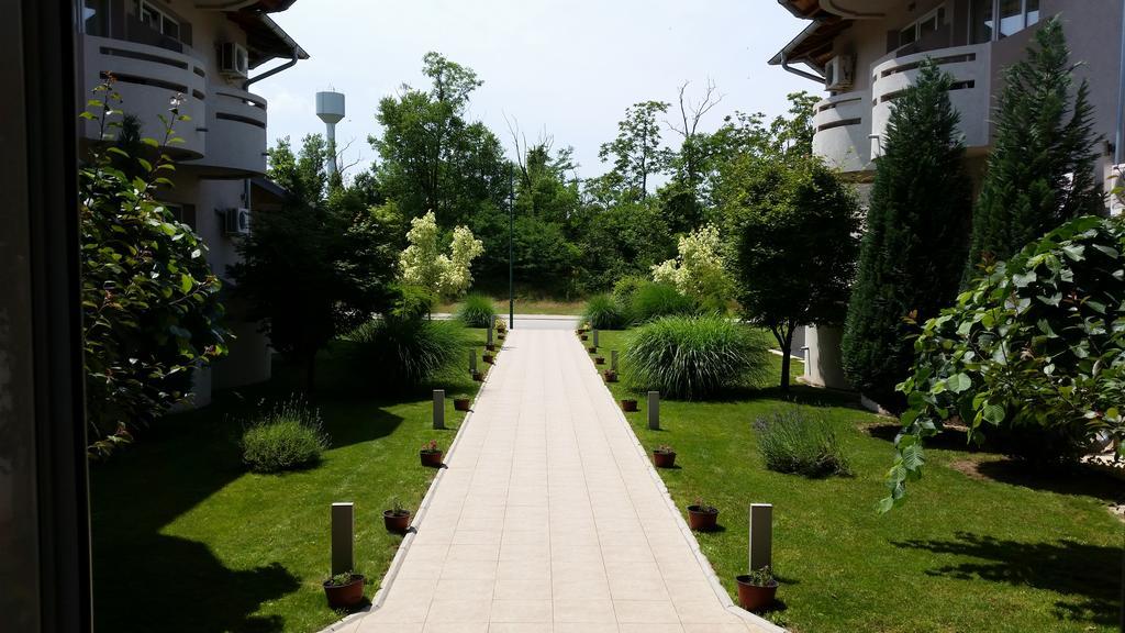 Vila Dincic Doo Veliko Gradište 외부 사진