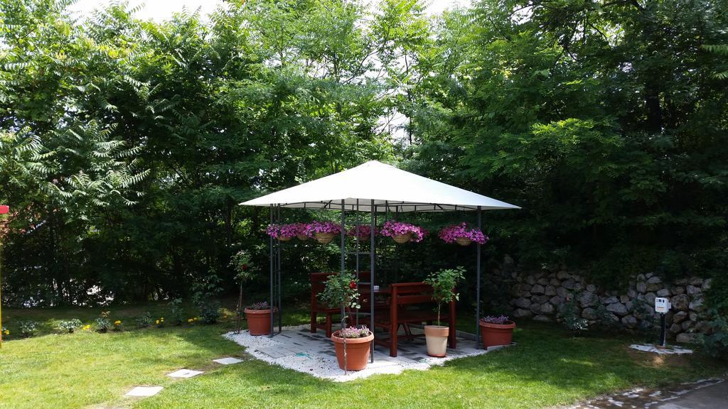 Vila Dincic Doo Veliko Gradište 외부 사진